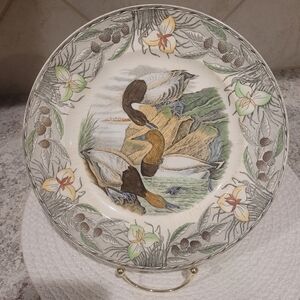 Canvas Back Duck, The Birds Of America, John James Audubon Plate
